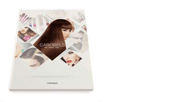 Catalogue 2016-2017 - English / French
